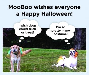 mooboo resources autism doing halloween right